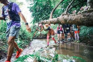 BIB: 
                            <button type="button" onclick="openModal(25469592)" class="btn btn-primary btn-sm float-right btn-popup" data-toggle="modal" data-target=".modal-high-quality">
                        <i class="fas fa-shopping-cart"></i> Add to Cart
                    </button>
                                            <button type="button" onclick="isThisMe(25469592, true)" class="btn btn-success btn-sm float-right btn-popup btn-isme hidden" data-toggle="tooltip" data-placement="bottom" title="นี่คือรูปของคุณใช่ไหม คลิกที่นี่เพื่อเอาเข้าอัลบั้ม">
                        <i class="fas fa-plus"></i> Add to album
                    </button>
                    <button type="button" onclick="isThisMe(25469592, false)" class="btn btn-warning btn-sm float-right btn-popup btn-isnotme hidden">
                        <i class="fas fa-ban"></i> Remove from album
                    </button>